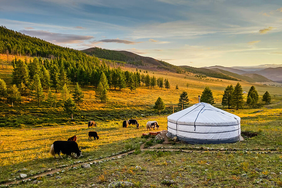 Atalante - Offre spéciale sur votre escapade en tout inclus en Mongolie