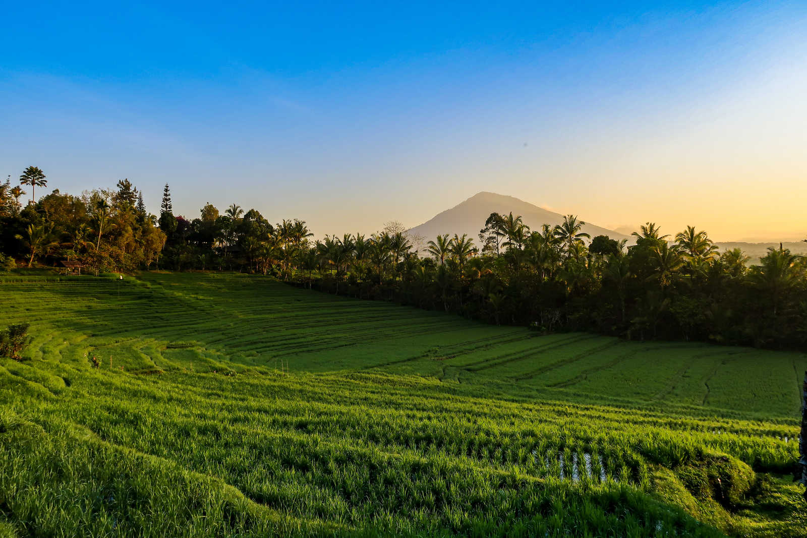 Atalante - Offre spéciale sur votre séjour en Indonésie